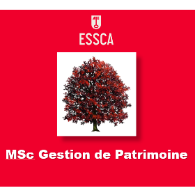 MSc Gestion de Patrimoine - après un Bac+4